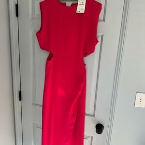 Zara Hot Pink Backless Dress
